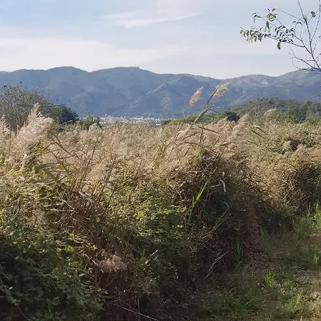 Richmarhome Διαμέρισμα Pego