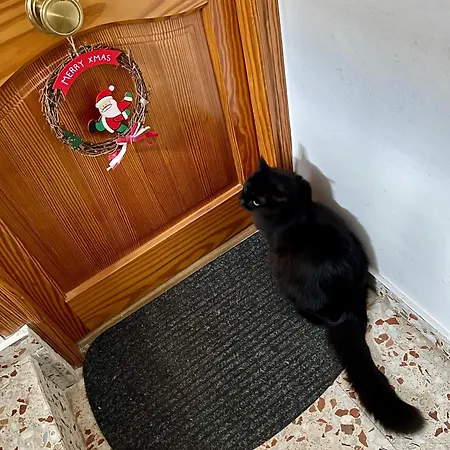 Richmarhome Apartamento *