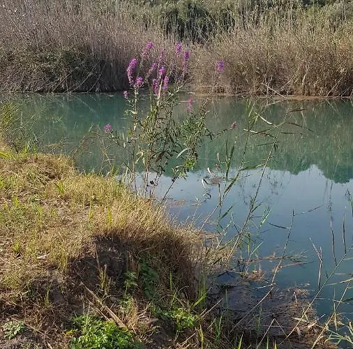 アパート Richmarhome ペゴ