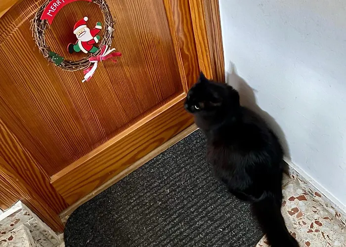 Richmarhome アパート *